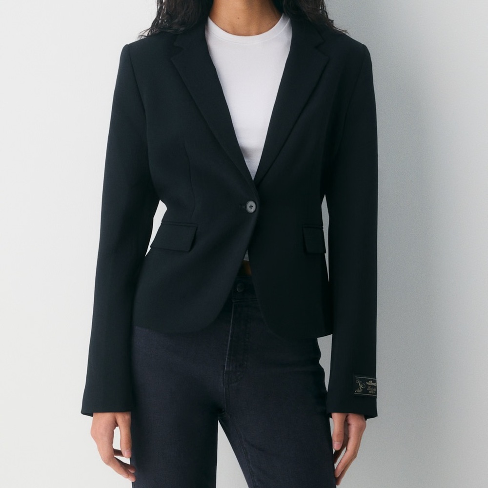 Aritzia Wilfred Etiquette Blazer
